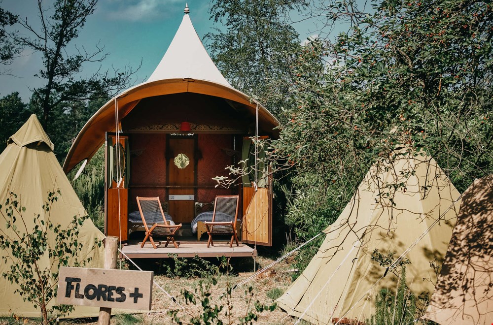 Glamping in Appeltern Glamping in Appeltern